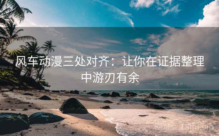 风车动漫三处对齐：让你在证据整理中游刃有余