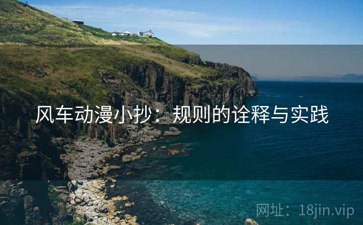 风车动漫小抄：规则的诠释与实践